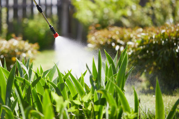 24/7 Emergency Ant Control experts in La Riviera, CA
